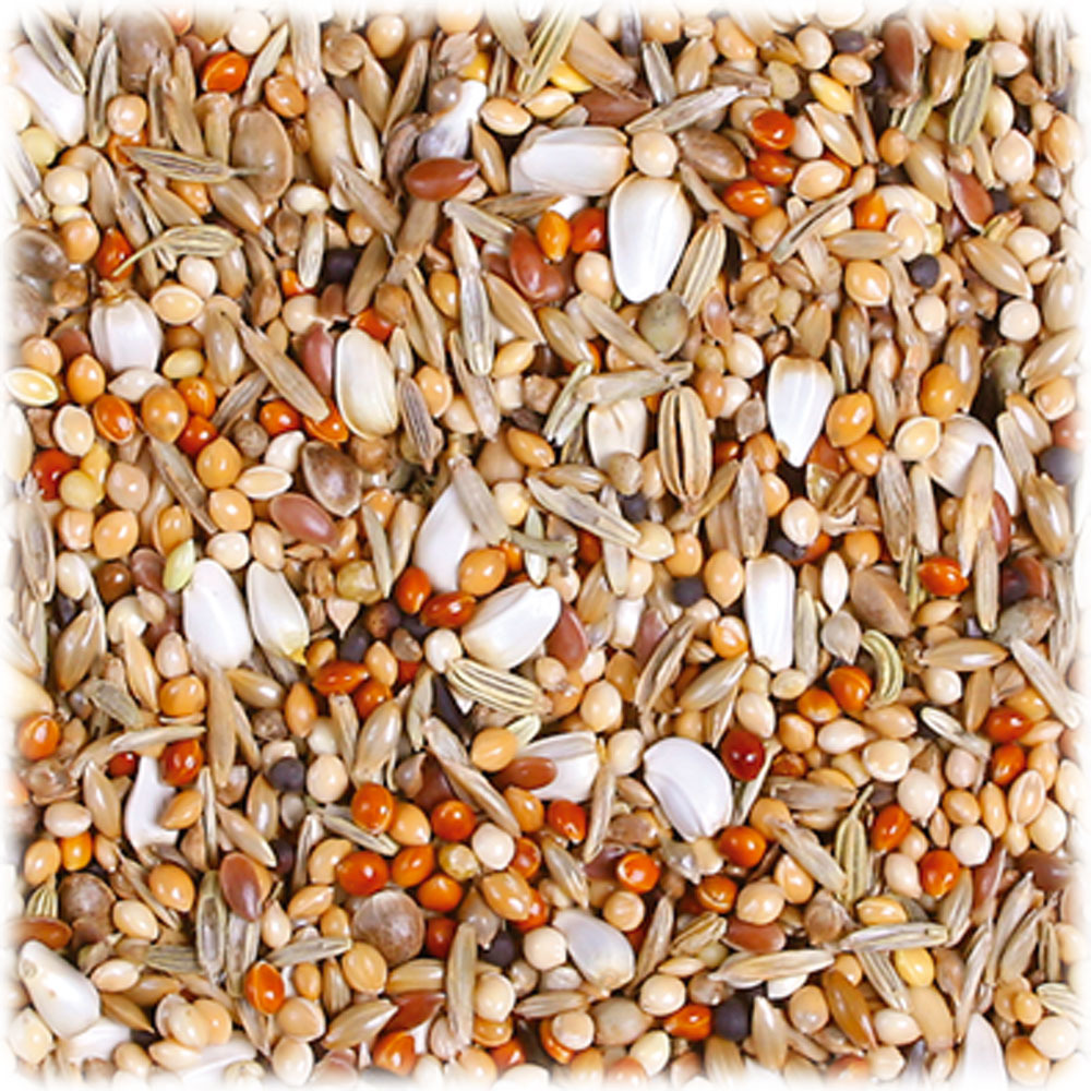 JR FARM Individual Wellensittichfutter, für Wellensittiche, mit Hirse, Hafer & Sonnenblumenkernen, 1 kg.