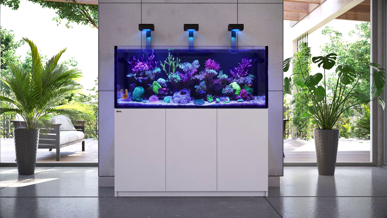 Red Sea Reefer Aquarium, weißer Unterschrank, für Korallen+Meeresbewohner, LED-Beleuchtung, modernes Design, stilvoll, 125L.