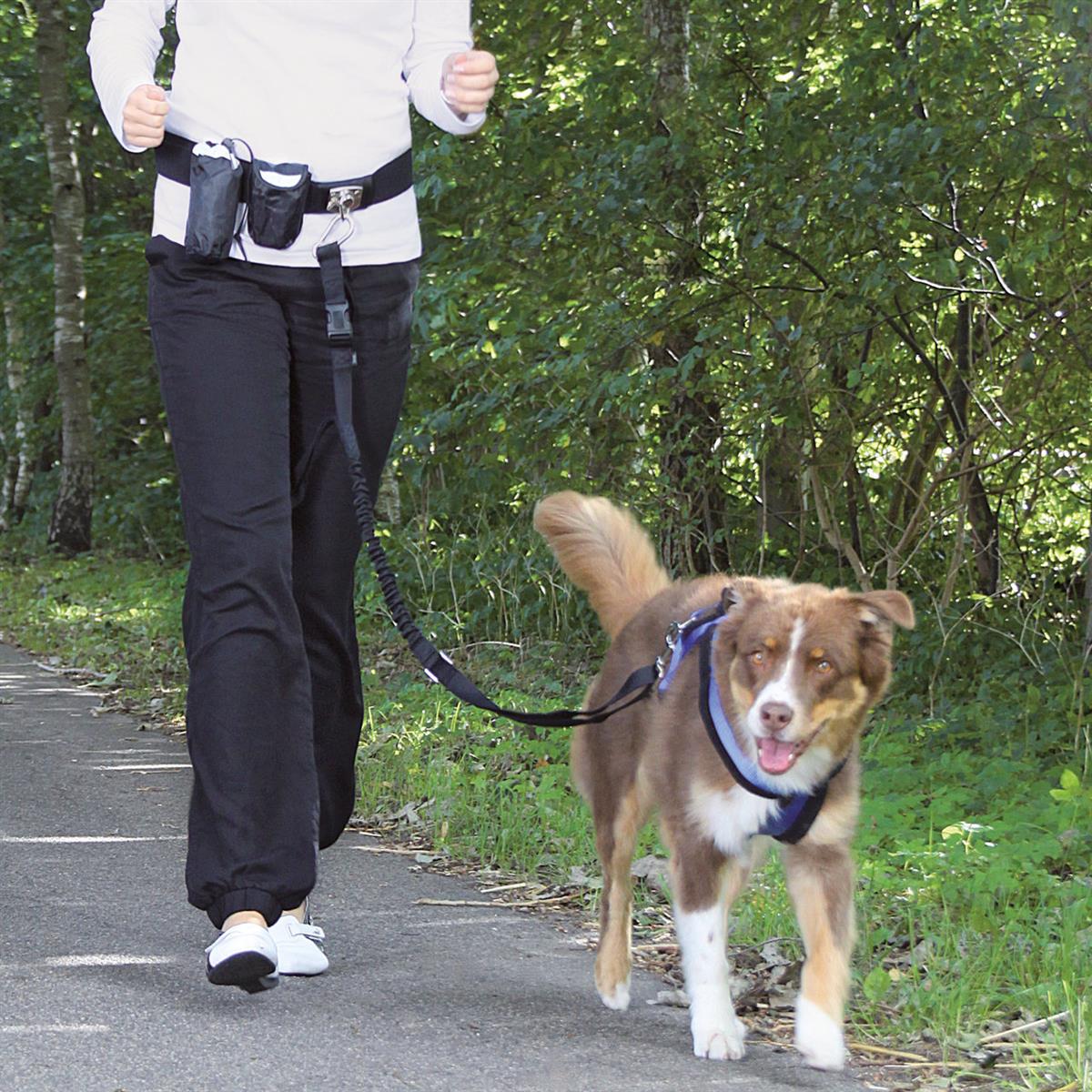 Trixie Bauchgurt mit Leine Hunde 1,35 m