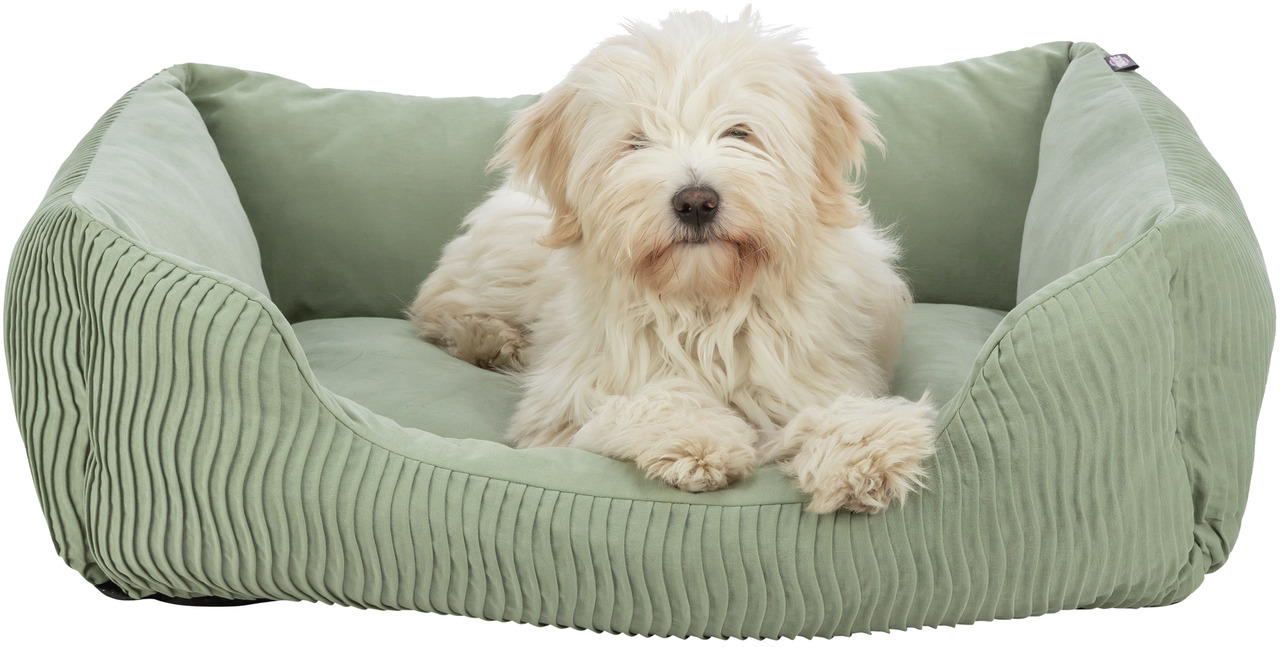 Ein cremefarbener Hund liegt entspannt in einem hellgrünen Hundebett der Marke TRIXIE. Das Bett ist aus weichem, geripptem Stoff gefertigt und bietet hohen Komfort. Es ist für Hunde geeignet und ideal für Ruhepausen. Das Produkt ist hochwertig verarbeitet