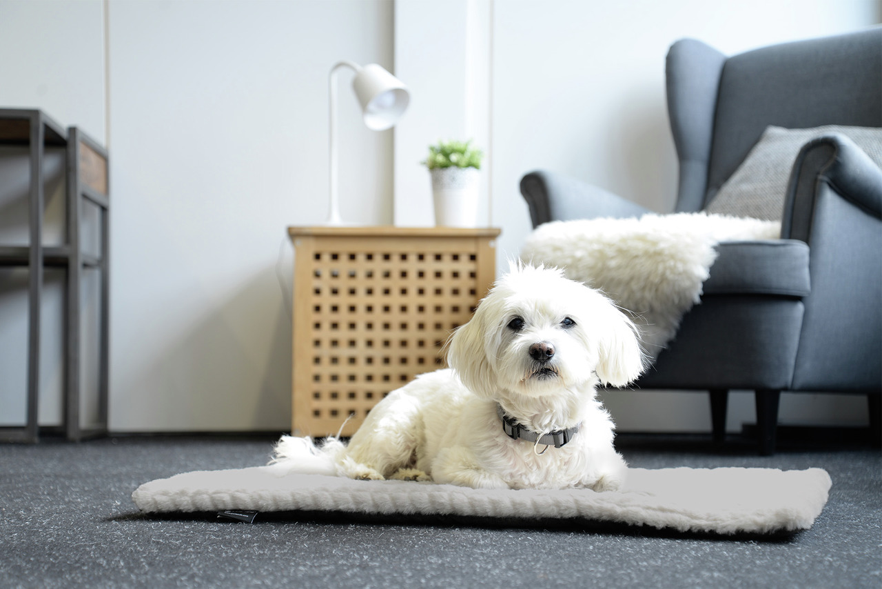 Petlando Daisy Decke XXL 130x90cm grau