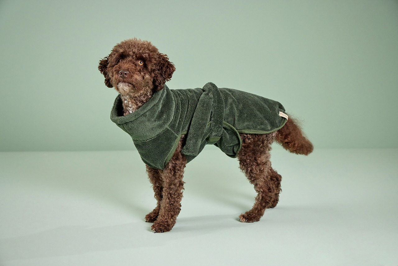 Ein brauner, lockiger Hund trägt einen grünen Bademantel der Marke Wolters. Der Mantel ist speziell für Hunde entwickelt und besteht aus saugfähigem Material, ideal zum Trocknen nach dem Baden. Zielgruppe sind Hundebesitzer, die Wert auf Komfort und Pfleg
