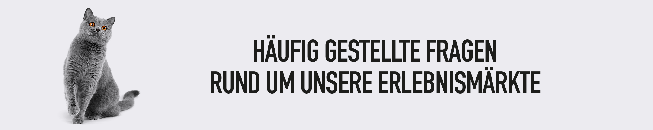 Faq Banner Footer%20hell Erlebnismrkt%20desktop