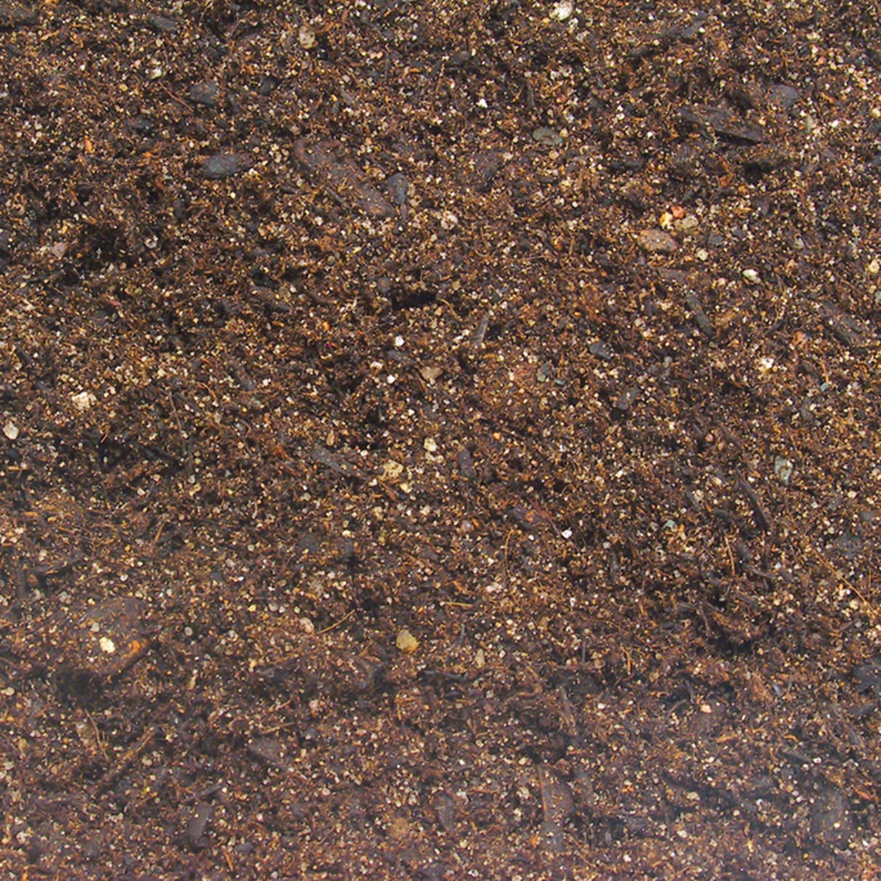 JBL ProScape Volcano Mineral: Vulkanisches Substrat für bepflanzte Aquarien, ideal fürs Aquascaping. Zielgruppe: Aquarienbesitzer.