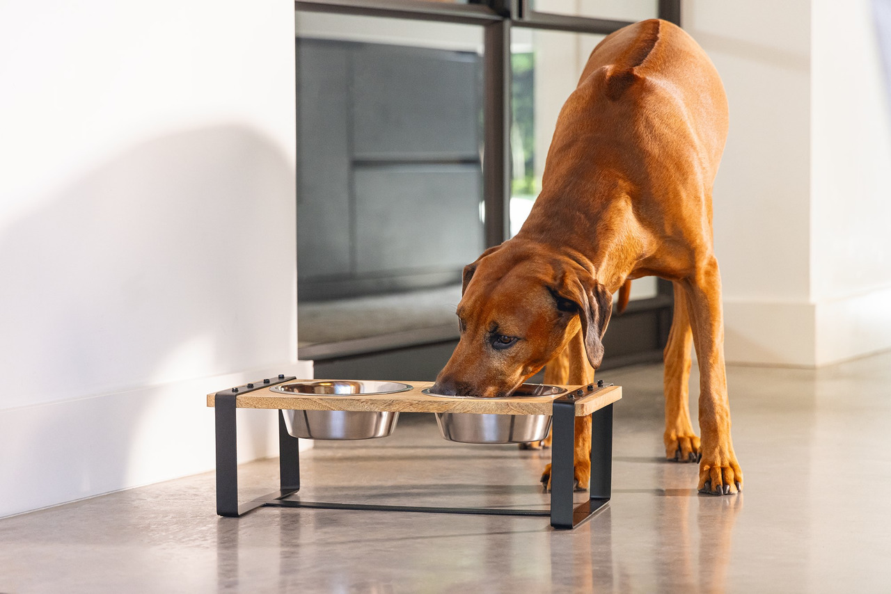 Designed by Lotte Holz Hundenapf Set Karinto 2 x 1300 ml