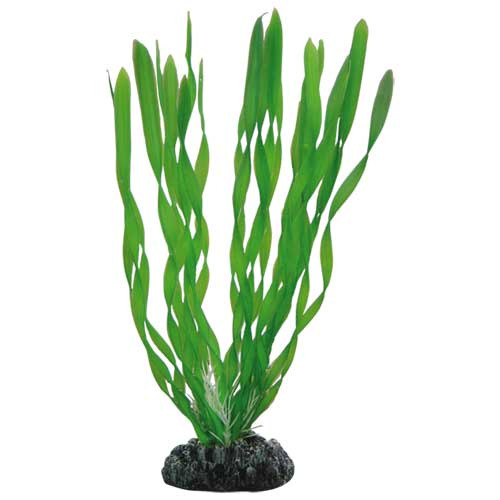 HOBBY Kunstpflanze Vallisneria, 30 cm, für Süß-/Meerwasseraquarien, Versteckmglk. für Fische, stabiler Sockel, ideal für Aquarienfans.