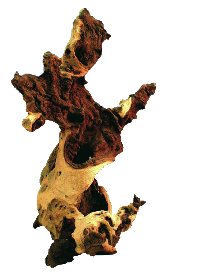 amtra Mangrovenwurzel, Deko f. Aquarien, Zielgr.: Aquarienbesitzer, naturnah, Versteckmglk., unregelm. Form.