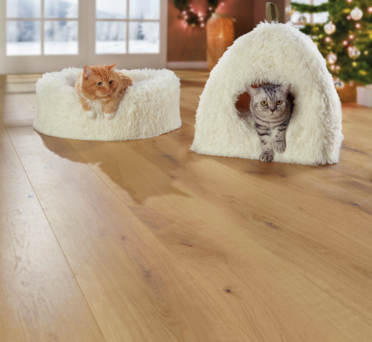 Das Bild zeigt zwei Katzen in einem gemütlichen Wohnraum mit Holzfußboden und weihnachtlicher Dekoration im Hintergrund. Links liegt eine orangefarbene Katze in einem runden, weißen Plüschbett, während rechts eine graue Katze aus einer weißen Plüschhöhle 