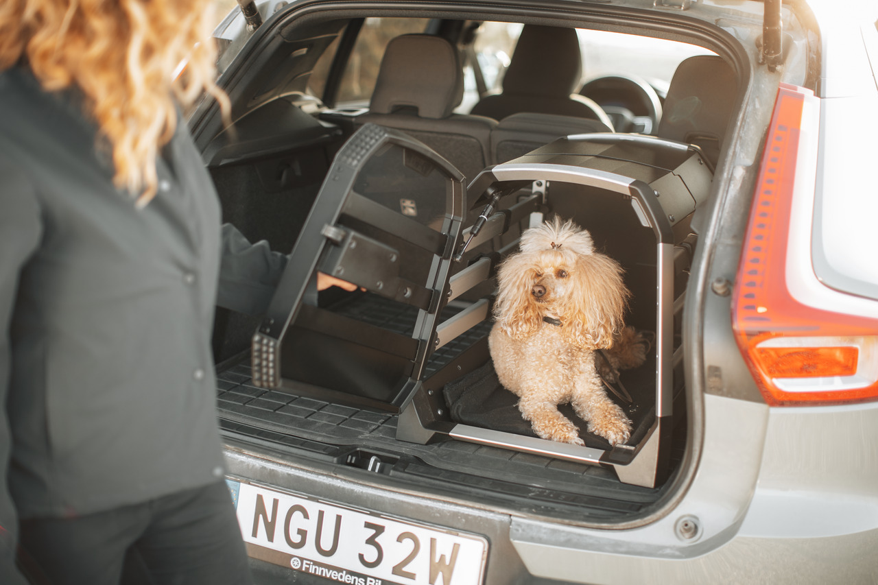 Thule Hundetransportbox, für Hunde, sicher & komfortabel, im Auto nutzbar, geprüft, hochwertige Qualität, cremefarbener Pudel.
