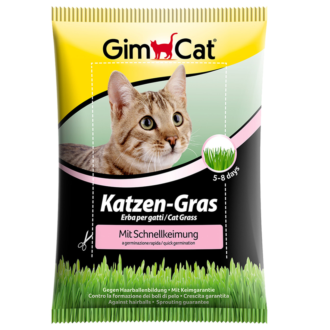 GimCat Katzengras mit Schnellkeimung Katzen Snack 100 g