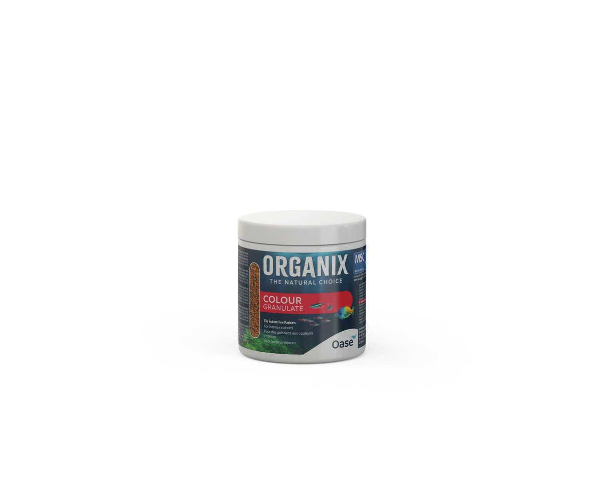 Das Bild zeigt eine Dose des Fischfutters „Oase Organix Colour Granulate“ für Zierfische. Die Verpackung ist weiß mit einem dunkelblauen Etikett, das den Produktnamen und die Marke „Oase“ zeigt. Es ist speziell für intensive Farben bei Fischen entwickelt.