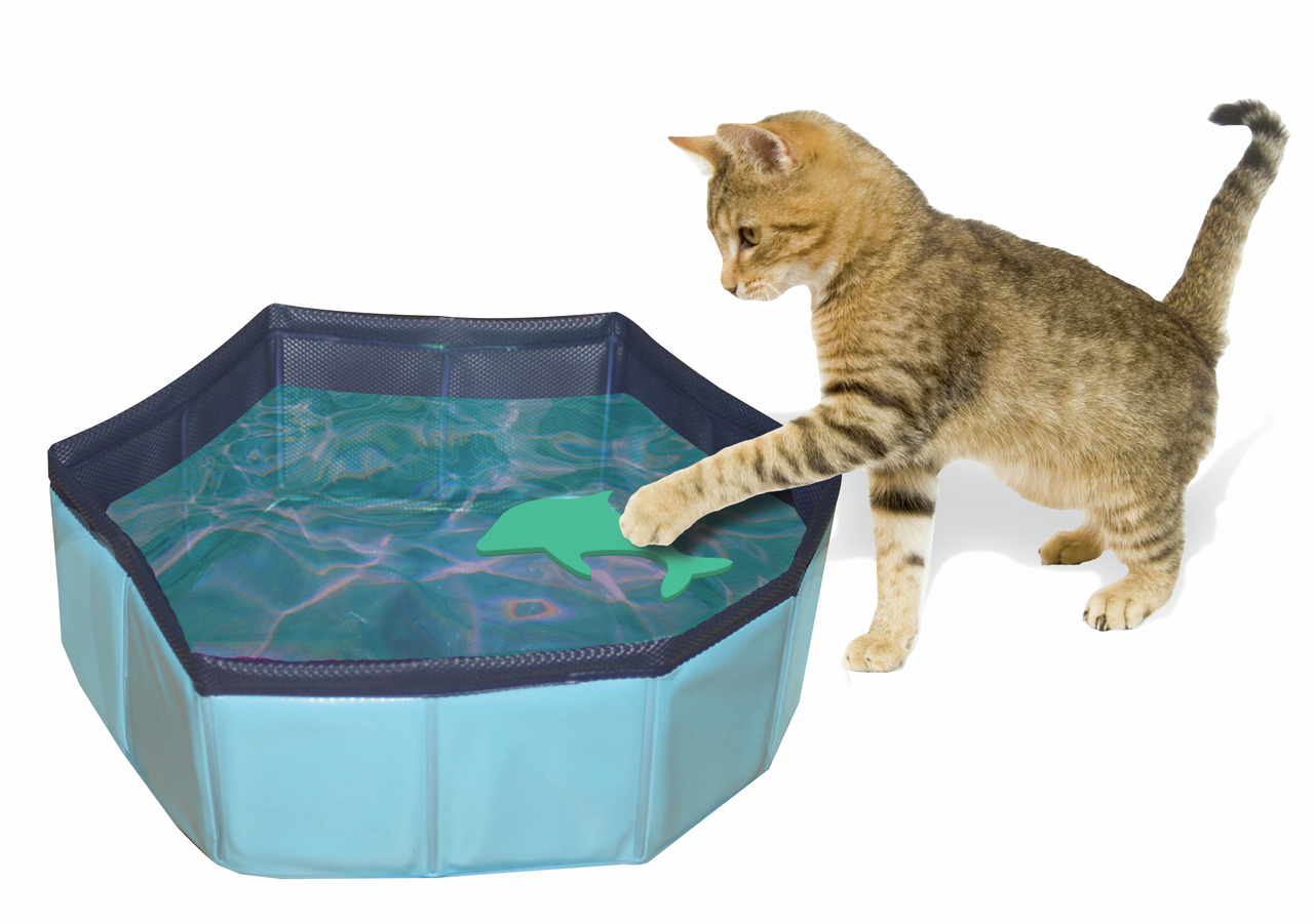CROCI faltbares Katzenplanschbecken, blau, mit grünem Fisch-Spielzeug, für Katzen, ideal zum Spielen & Planschen.