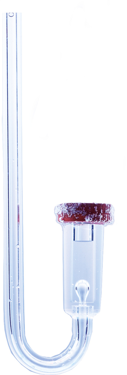 Dennerle CO2-Diffusor-Set, Glas, für Aquarienpflanzen, gleichm. CO2-Verteilung, fördert Pflanzenwachstum, EAN: 4001615032376.