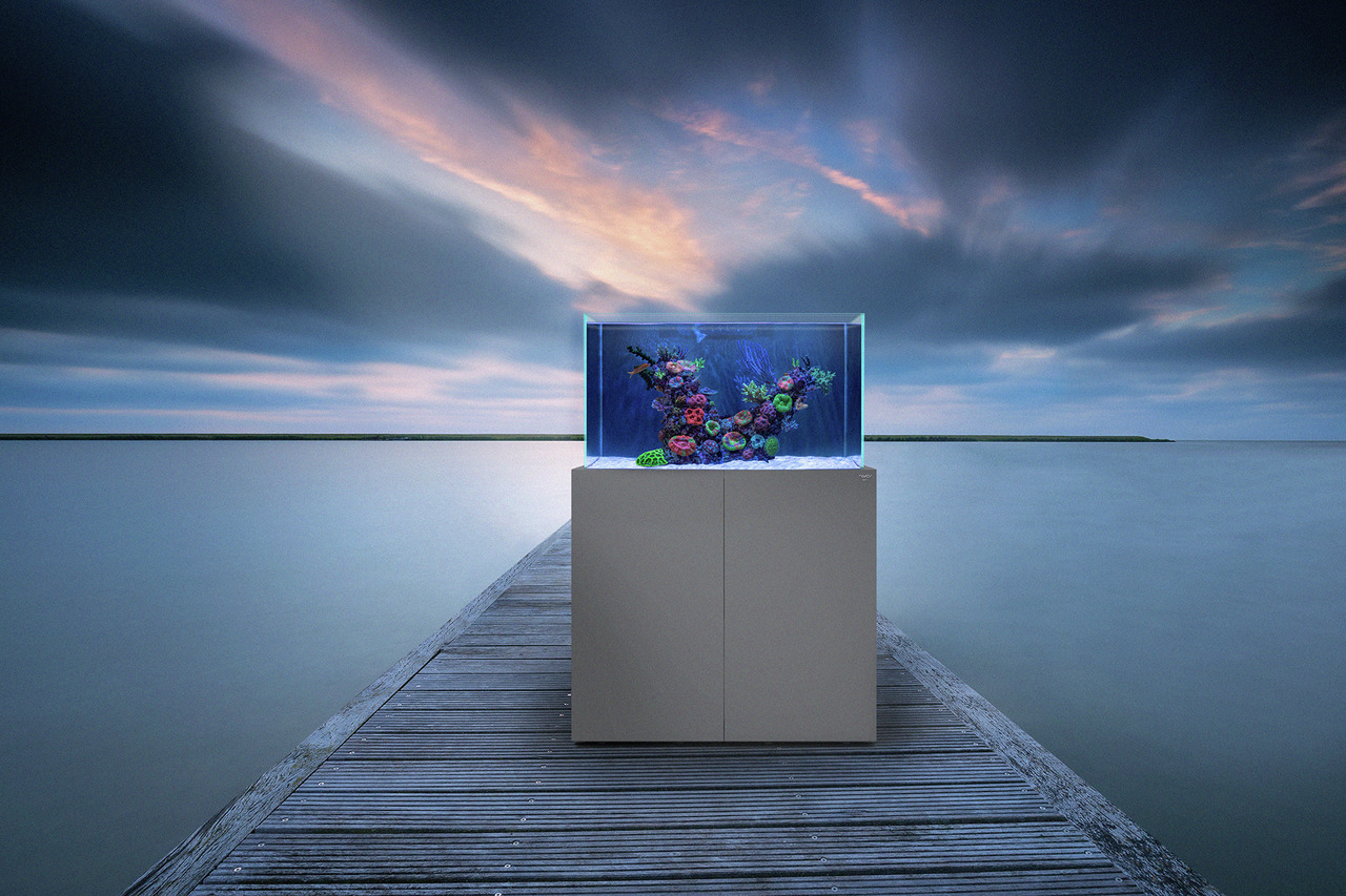 Nyos Aquarium, stilvoll, auf weißem Unterschrank, dekoriert mit Korallen & Pflanzen, luxuriös & beruhigend, für Aquaristik-Fans.