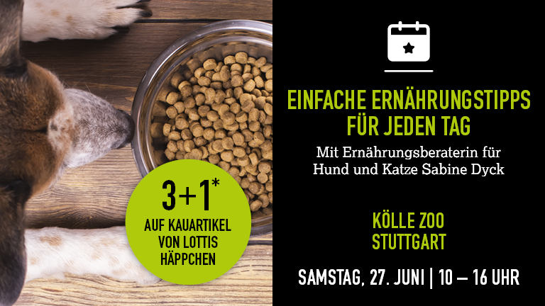 270626 Ernhrungsberatung Stuttgart Mobile 768x432px