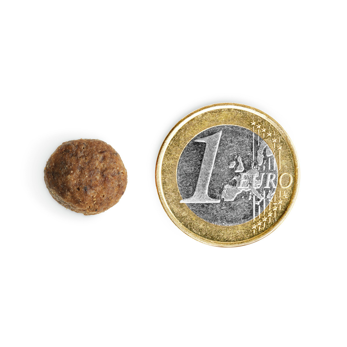 Das Bild zeigt ein einzelnes Trockenfutterstück der Marke TIKAANI neben einer 1-Euro-Münze zum Größenvergleich. Das Produkt ist für Hunde geeignet und bietet eine ausgewogene Ernährung. Die Geschmacksrichtung ist nicht angegeben. Die kompakte Größe erleic