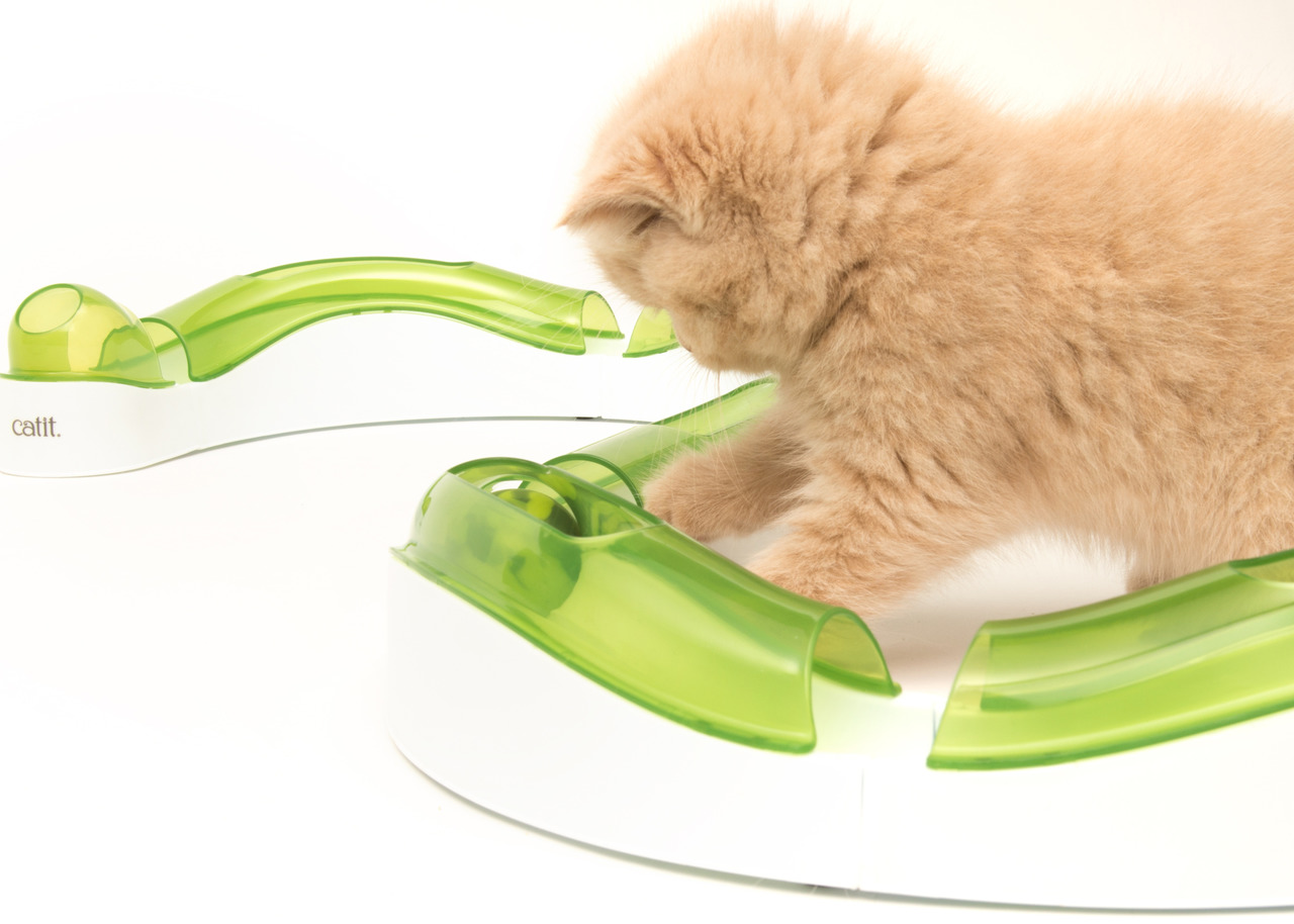 Catit Senses 2.0 Spielschienen-Set, interaktives Spielzeug für Katzen, grün-weiß, stimuliert Sinne, gegen Langeweile, für alle Altersstufen.