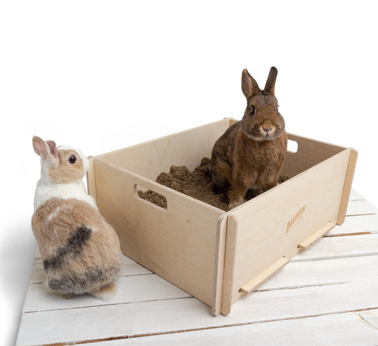 Bunny Nature Holztoilette für Kaninchen, robust & umweltfreundlich, ideal für artgerechte Haltung, mit Sand befüllbar.