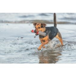 Ein Hund spielt im flachen Wasser und trägt das TRIXIE Hundespielzeug "Dog Activity Dummy" im Maul. Das Produkt ist für Hunde aller Größen geeignet und fördert aktives Spielen sowie Apportiertraining. Es ist robust und schwimmfähig, ideal für den Einsatz 