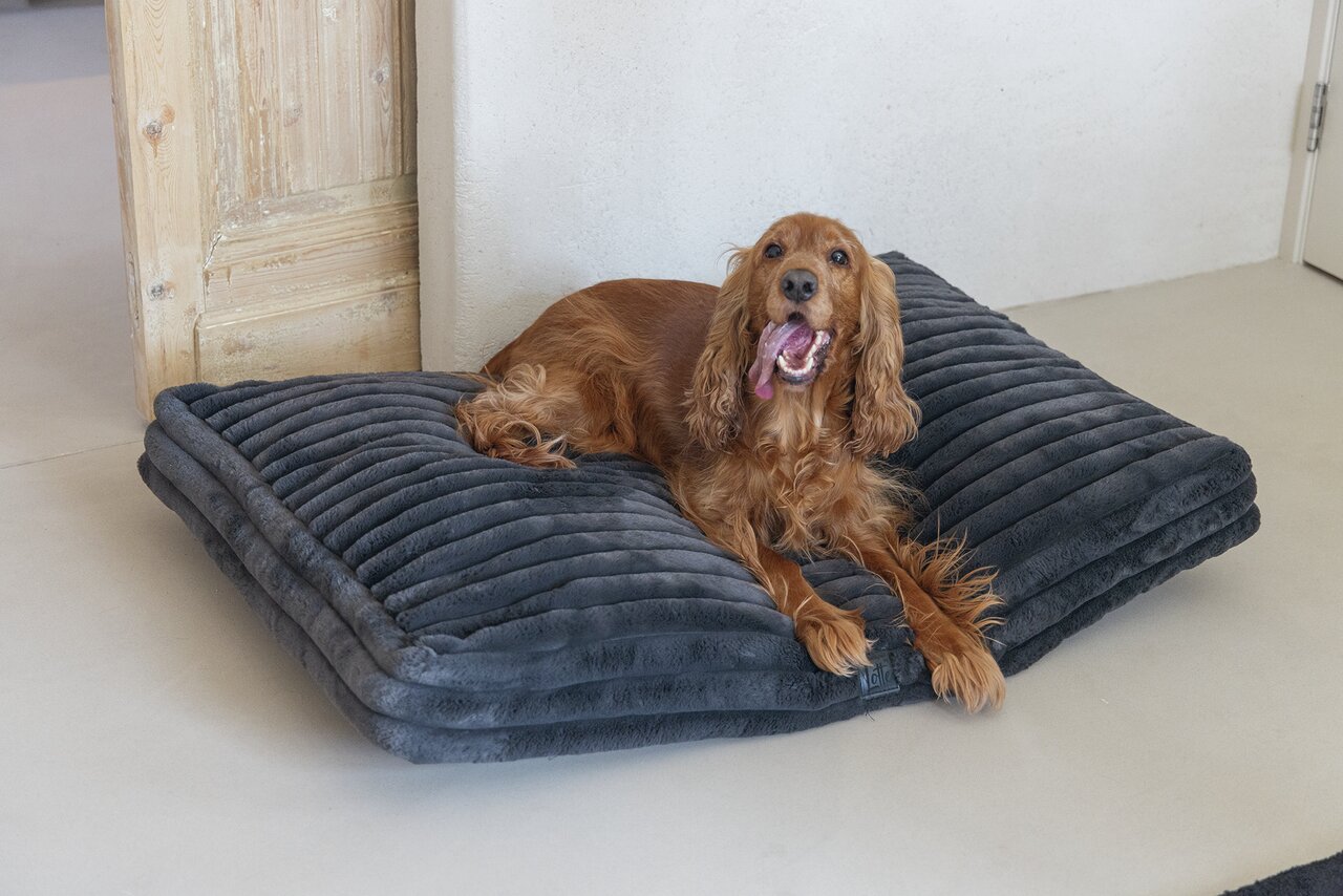 Designed by Lotte Katzenbett, Zielgruppe: Katzen, Material: Holz/Textil, Maße: ca. 50x40 cm, Farbe: Grau.