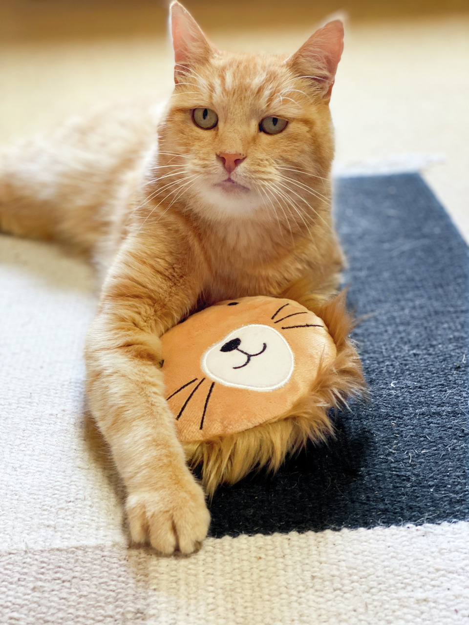 Aumüller Leo Löwe Katzenspielkissen