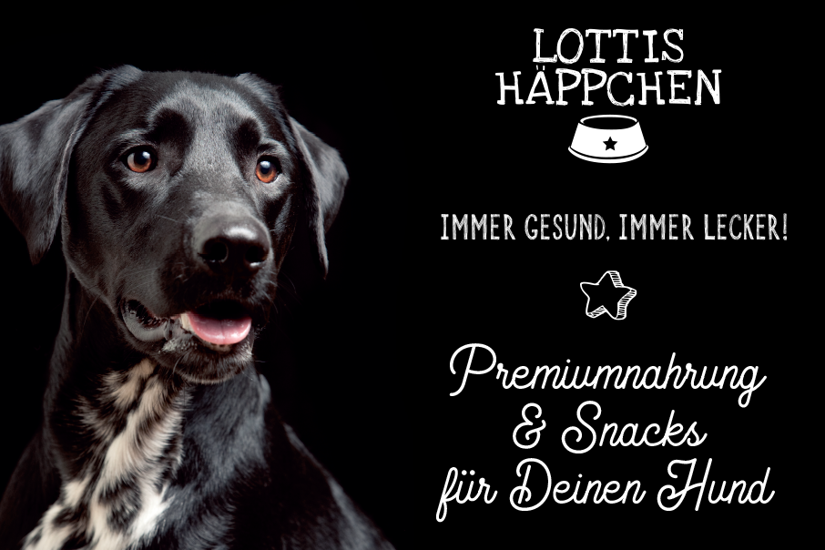 Lottis Häppchen