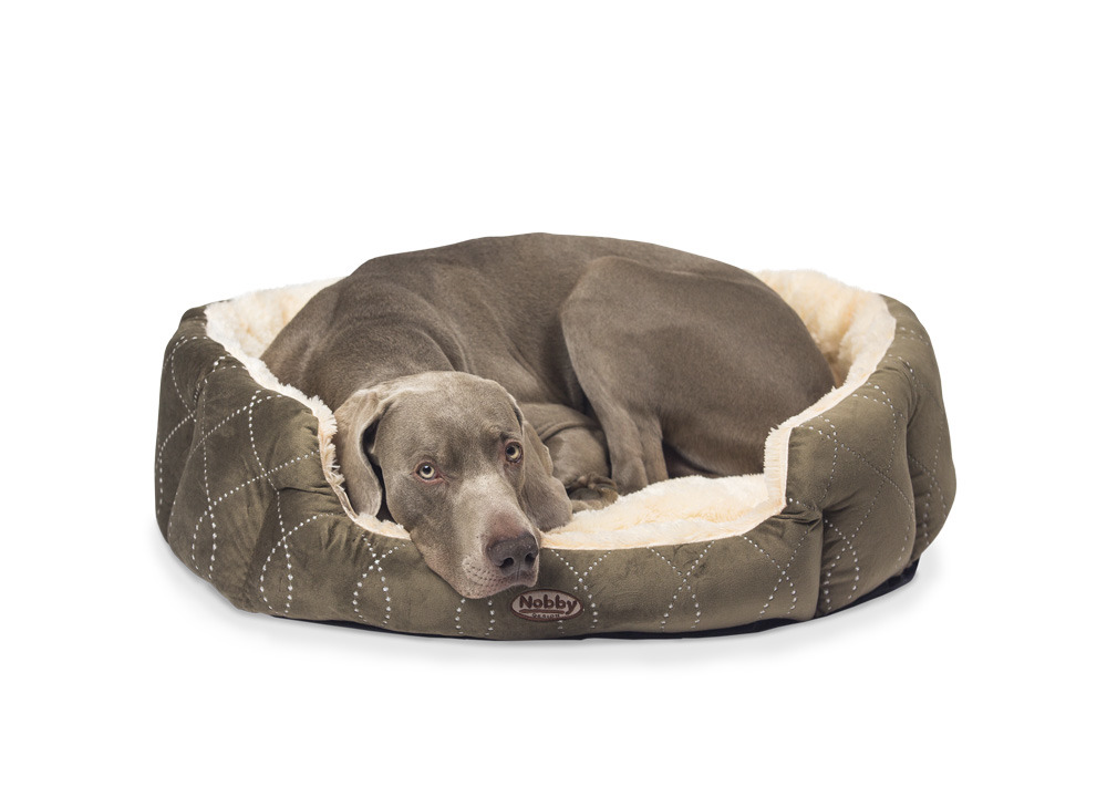 Nobby Hundebett, olivgrün, cremefarbenes Innenfutter, gesteppt, weich gepolstert, für mittelgroße-große Hunde, hoher Komfort.
