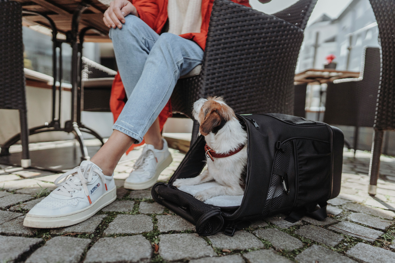 HUNTER Transporttasche für Hunde, komfortabel & sicher, ideal für unterwegs. Perfekt für Tierhalter, die mobil bleiben möchten.