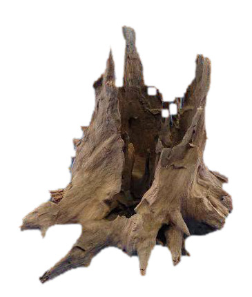 Colorstone Baumwurzel, Deko f. Aquarien-Terrarien, naturgetreu, Versteckmglk. f. Tiere, detailreich, realistisch, natürl. Umgebung.