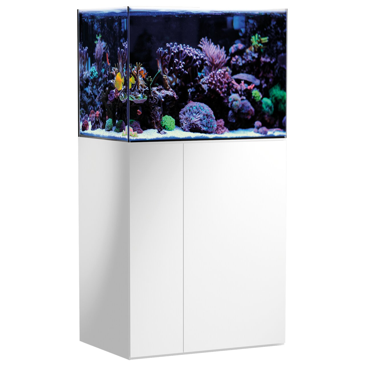 Aqua Medic Armatus 300 XD, Meerwasseraquarium mit Unterschrank (Weiß), für Aquaristik-Fans, stilvolles Design, ideal für Korallen & Fische.