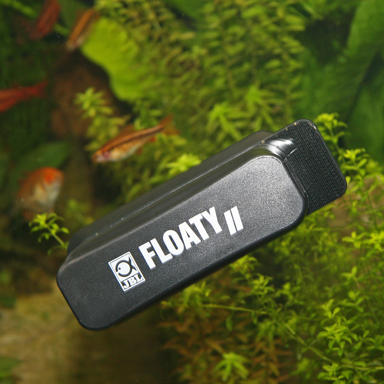 JBL Floaty II: Schwimmender Scheibenreiniger für Aquarienbesitzer, einfache Reinigung ohne nasse Hände, schwarz, bepflanztes Aquarium.