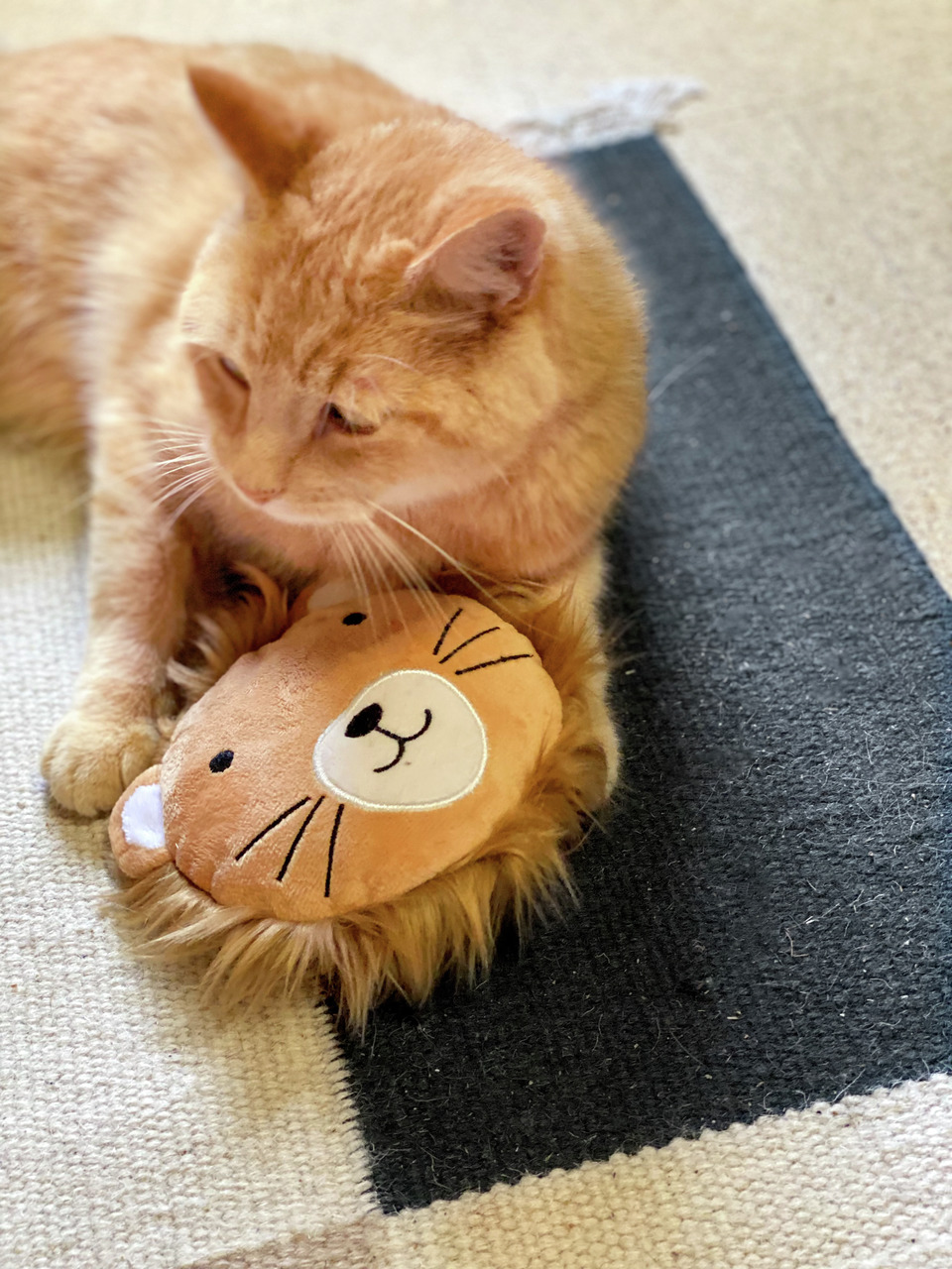 Aumüller Katzenspielzeug Löwenkopf, für Katzen, fördert Aktivität & Unterhaltung, ideal für alle Altersgruppen.