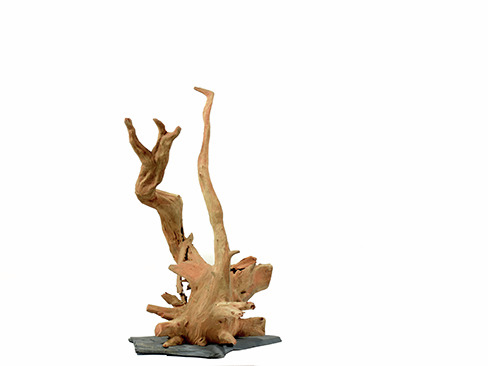 Colorstone Naturholz-Wurzel auf Steinbasis, für Aquarien/Terrarien, naturnahe Optik, Gestaltungselement für Tierhalter.