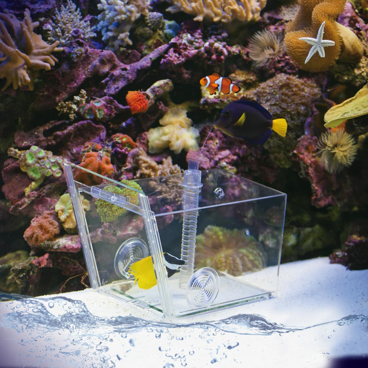 AQUA MEDIC Fish trap / Fischfalle
