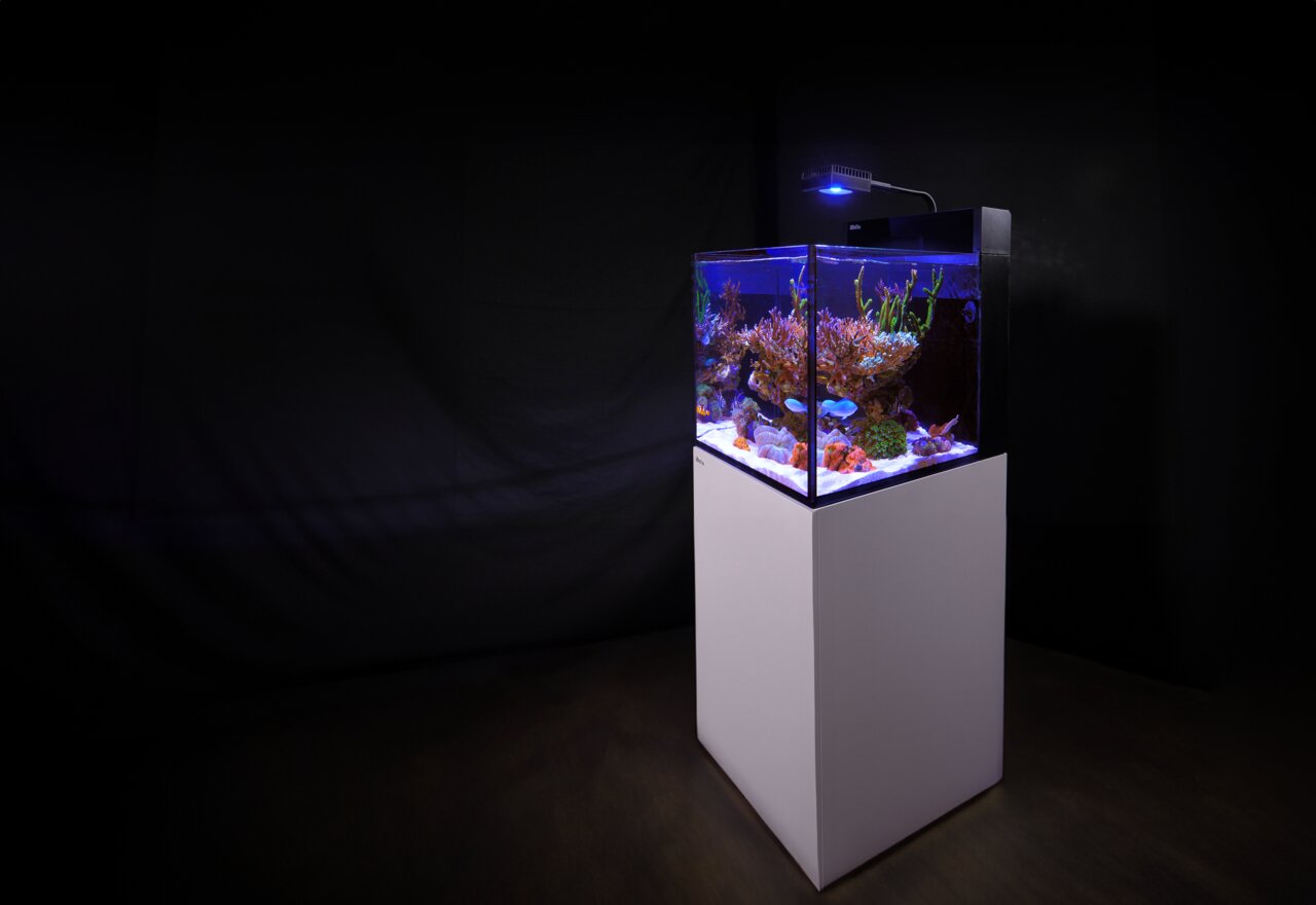 Red Sea Reefer Aquarium, weißer Unterschrank, LED-Beleuchtung, Korallen, Pflanzen, Fische, ideal für Meerwasser-Aquaristik.