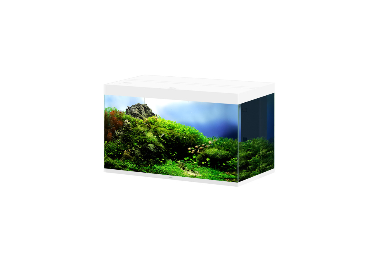 Ciano Aqua 60 Aquarium, 58 L, für Süßwasserfische, modernes Design, ideal für Anfänger & erfahrene Aquarianer.