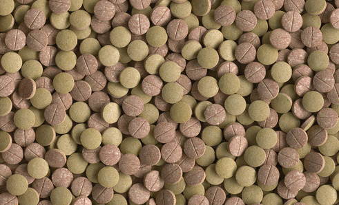 Tetra Pleco Tablets, Fischfutter für Bodenfische-Welse, Grün-Braun, pflanzenfressend, nährstoffreich, gesundheitsfördernd.
