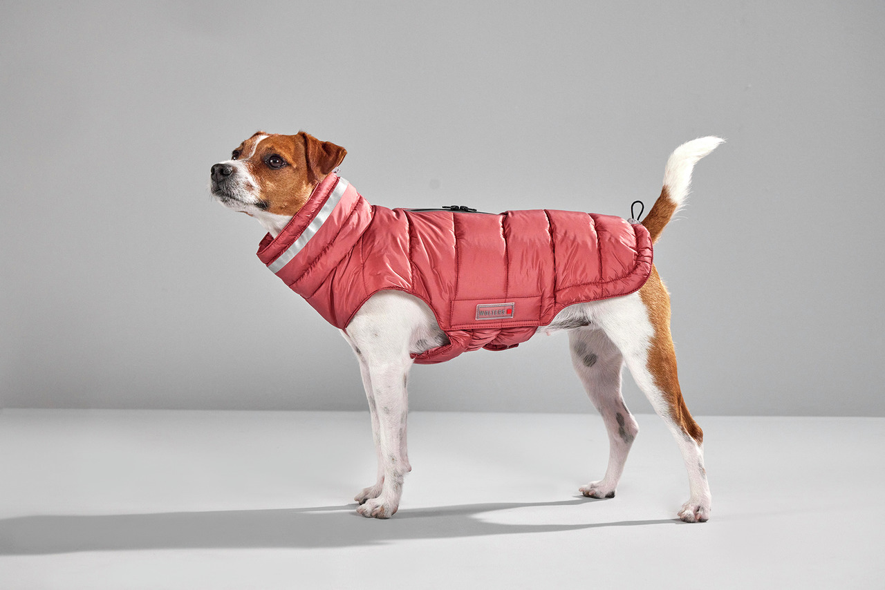 Wolters Steppjacke Cosy 38 cm rost rot