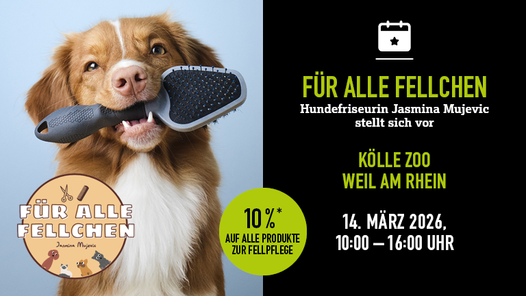 140326 Hundefriseur Weilamrhein Mobile 768x432px