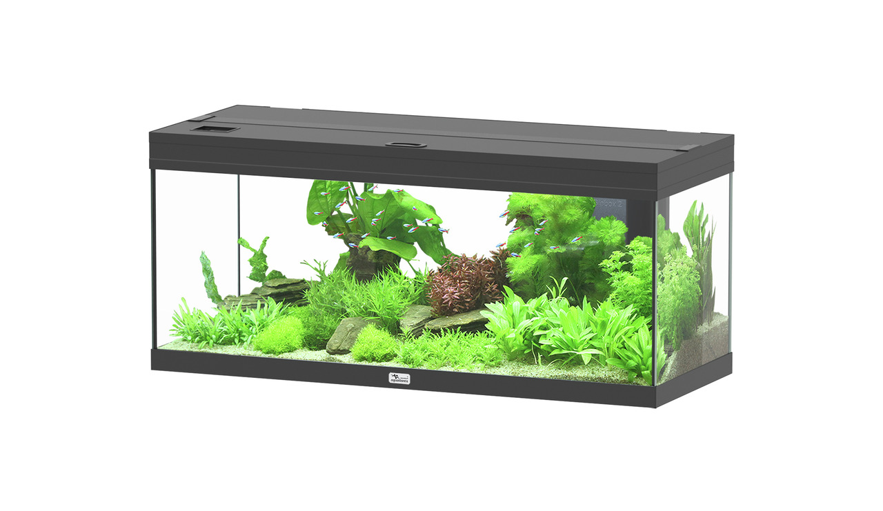 Das Bild zeigt ein hochwertiges Aquarium der Marke Aquatlantis, Modell Advance LED 80, geeignet für Aquaristik-Enthusiasten. Es ist mit üppigen grünen Pflanzen dekoriert und bietet einen natürlichen Lebensraum für Fische. Das rechteckige Design mit schwar