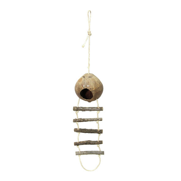 Ollesch Vogelspielzeug, Kokosnuss mit Holzleiter, für Wellensittiche-Kanarienvögel, fördert Aktivität, 1 Stk., ca. 30 cm.