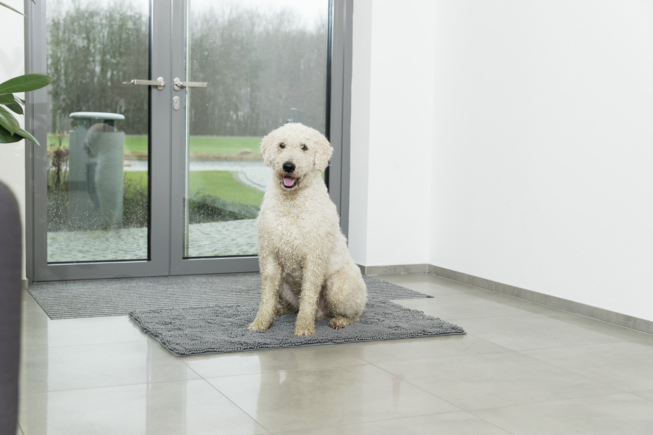 TRIXIE Fußmatte für Hunde, ideal gg. Schmutz & Feuchtigkeit. Zielgr.: Hundebesitzer.