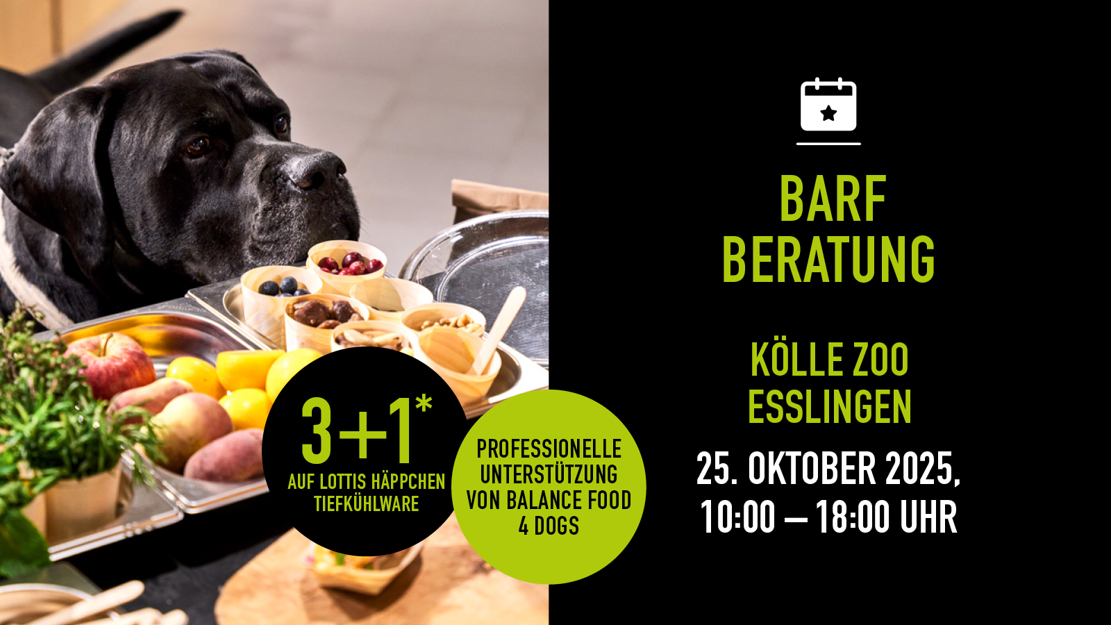 Schwarzer Hund schnuppert an BARF-Probierhäppchen bei Beratungsevent.