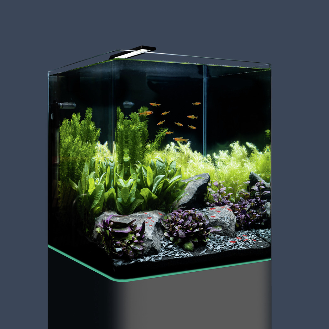 Dennerle Nano Cube COMPLETE Aquarium Komplettset 60 l