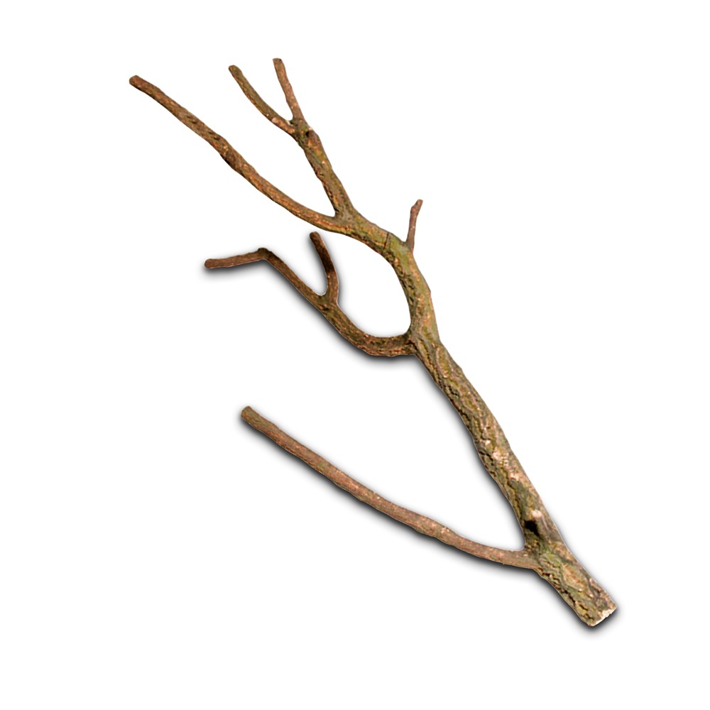 Ein natürlicher Ast der Marke HOBBY, geeignet für Reptilien und andere Terrarientiere. Der Ast dient als Kletter- und Ruheplatz und fördert das natürliche Verhalten der Tiere. Die robuste Struktur und die natürliche Optik machen ihn ideal für Terrarien. L