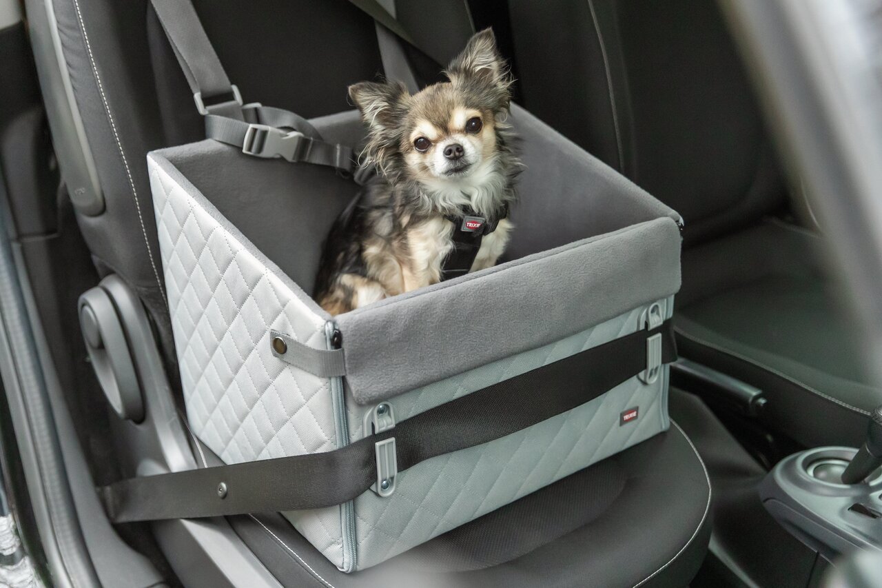 TRIXIE Auto-Transportbox für Hunde, geeignet für kleine Hunde, bietet Sicherheit und Komfort während der Autofahrt.