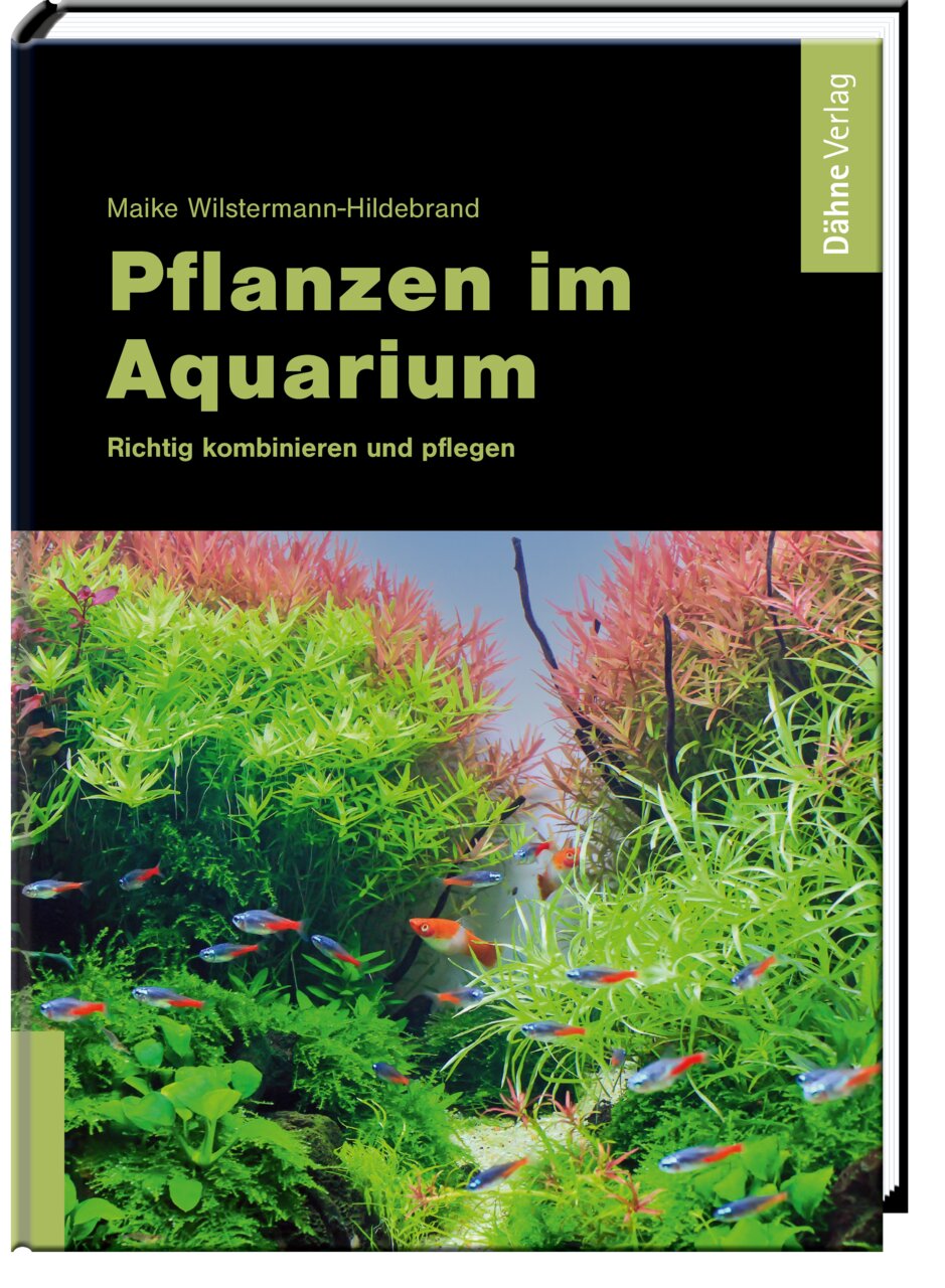 Buch "Pflanzen im Aquarium" v. Maike Wilstermann-Hildebrand, Dähne Verlag: Tipps zu Kombi & Pflege v. Wasserpflanzen, 125 S.