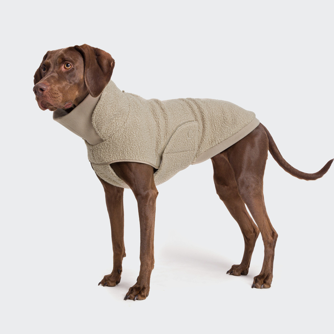 Cloud7 Hundepullover Gotland Beige Größe 10