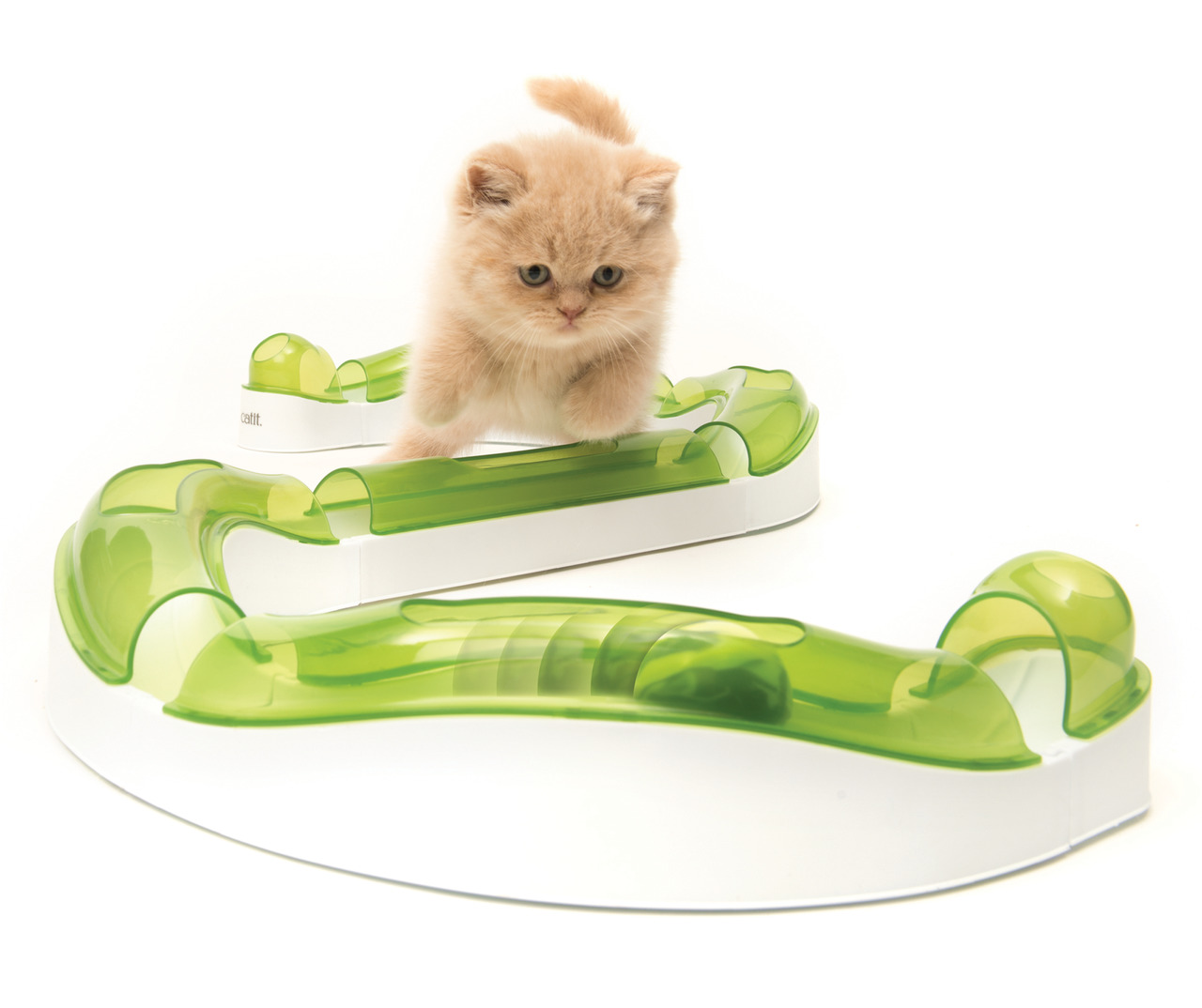 Ein cremefarbenes Kätzchen spielt auf dem „Catit Senses 2.0 Spielschienen-Set“, einem interaktiven Spielzeug für Katzen. Die Zielgruppe sind Katzen jeden Alters. Das Set besteht aus grünen und weißen Schienen mit durchsichtigen Abdeckungen, die eine Kugel