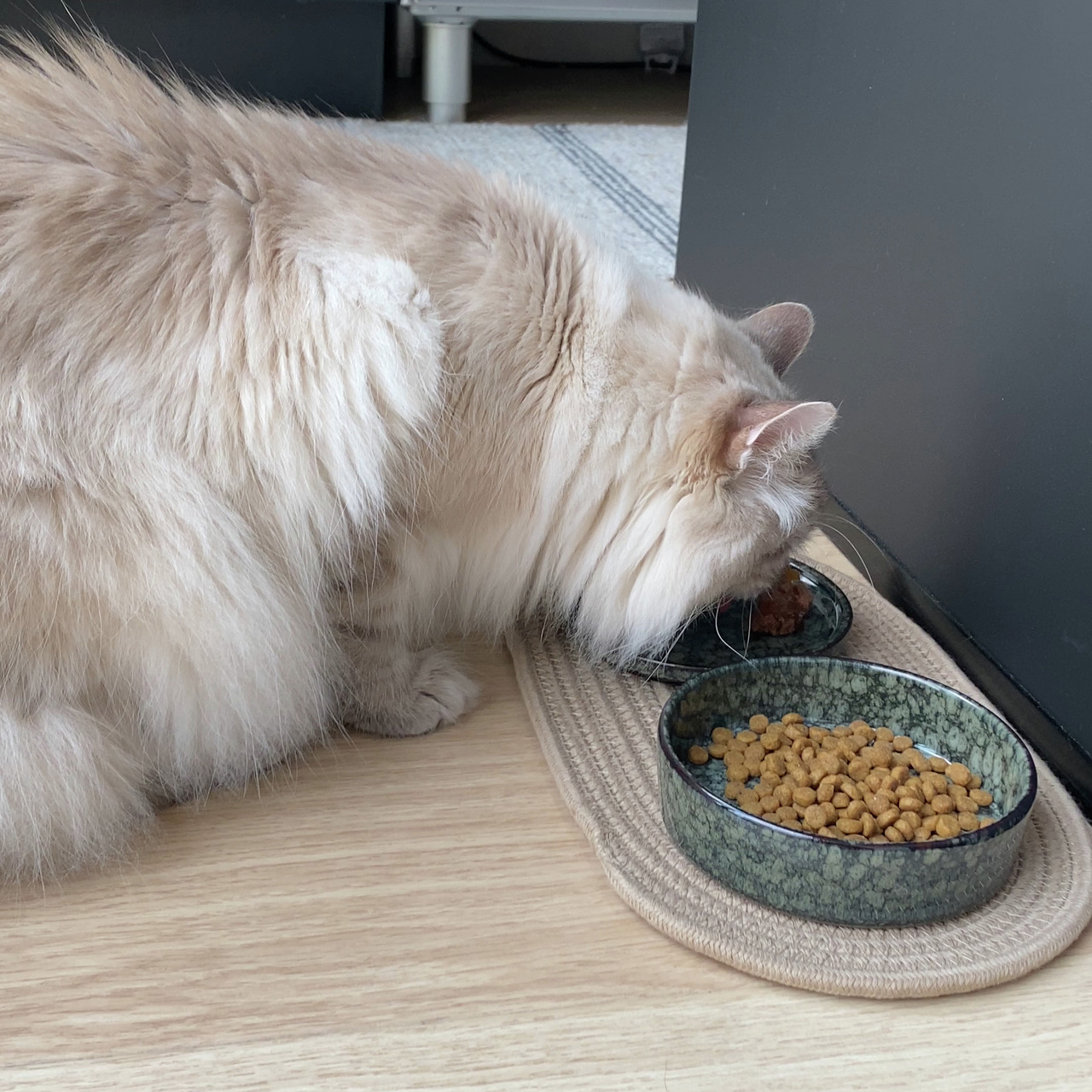 D&D Keramiknapf für Katzen, ca. 300 ml/Napf. Zielgruppe: Katzenhalter. Für Nass- & Trockenfutter geeignet.